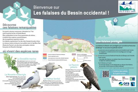 Sensibilisation à la régementation autour des falaises du Bessin