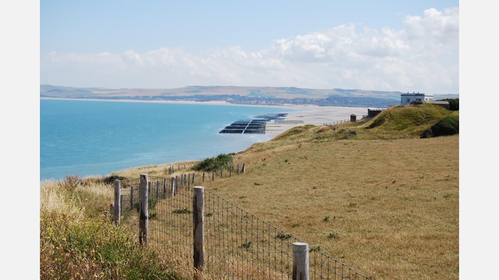 Moules bouchot sur pics (Cap Gris-Nez) – Juillet 2022 ; Photo : S. Biton (OFB)