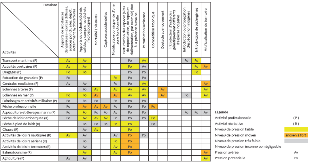 Pression activités LSM